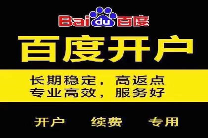 案例解读：SEM代理助力电商销量翻倍